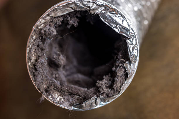Best Home Air Vent Cleaning  in Green Valley, SD